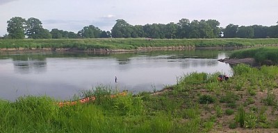 Odra meandruje w środkowym biegu dość leniwie.